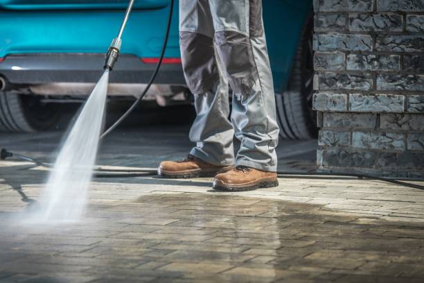 Best Boat and Dock Cleaning  in Harlem Heights, FL